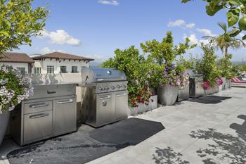 Maia avira at glendale bbq area